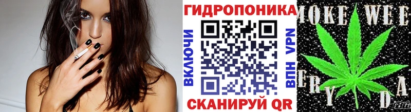 Виды наркоты Гвардейск Марихуана Alpha PVP ГАШИШ