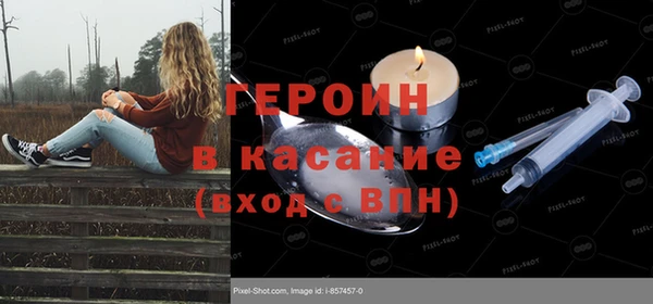 прущие грибы Аркадак