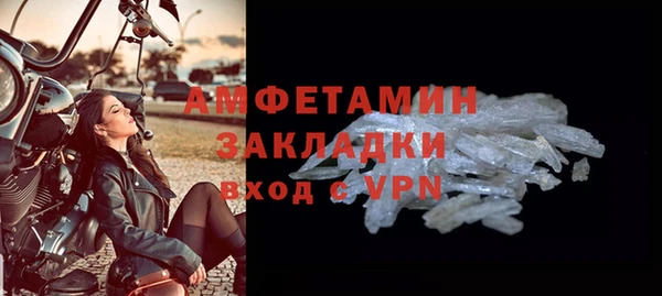 прущие грибы Аркадак