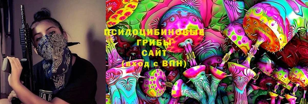 прущие грибы Армянск