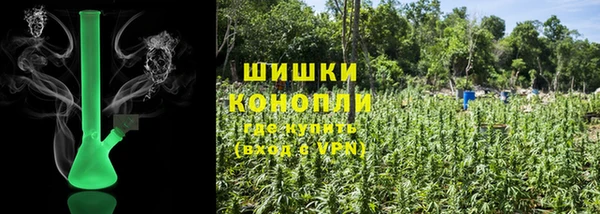 прущие грибы Армянск