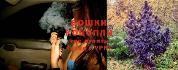прущие грибы Аркадак