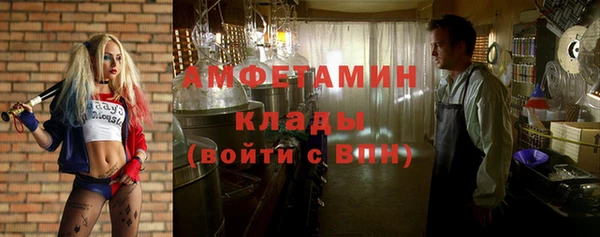 прущие грибы Аркадак