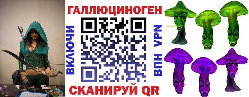 где продают наркотики Гвардейск Псилоцибиновые грибы Cubensis
