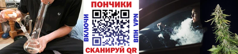 где купить наркоту  Гвардейск  кракен зеркало  Шишки марихуана индика 